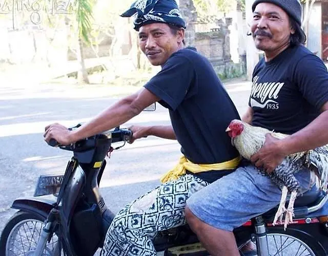 Uno Bali